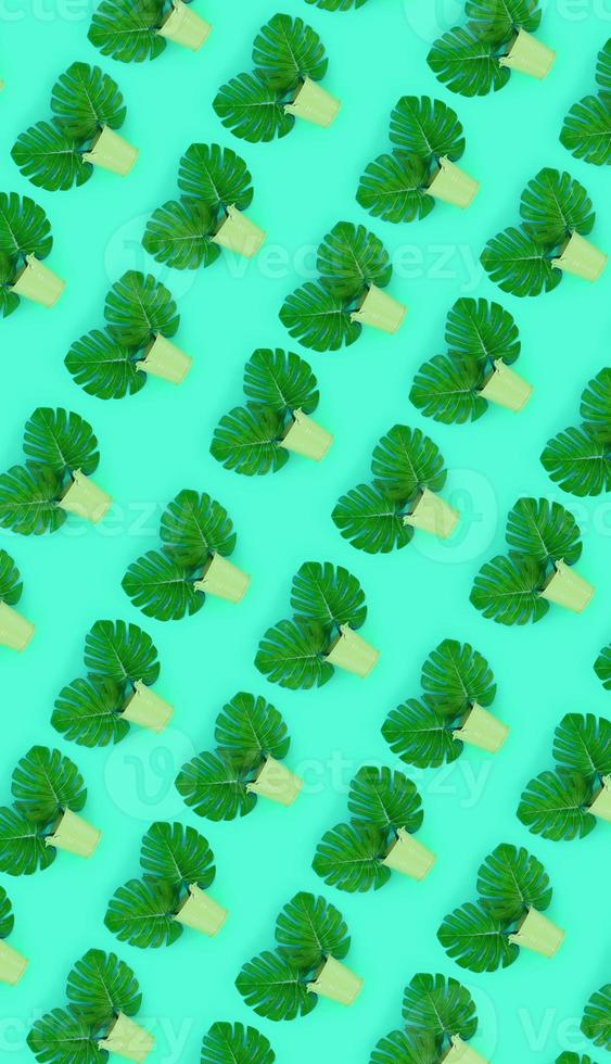 tropisch palm monstera bladeren leugens in een pastel emmers Aan een gekleurde achtergrond. vlak leggen modieus minimaal patroon. top visie foto