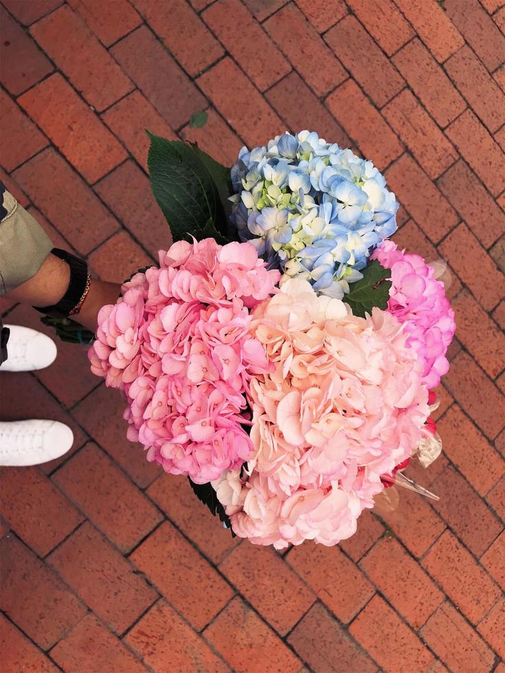 boeket van hortensia's foto