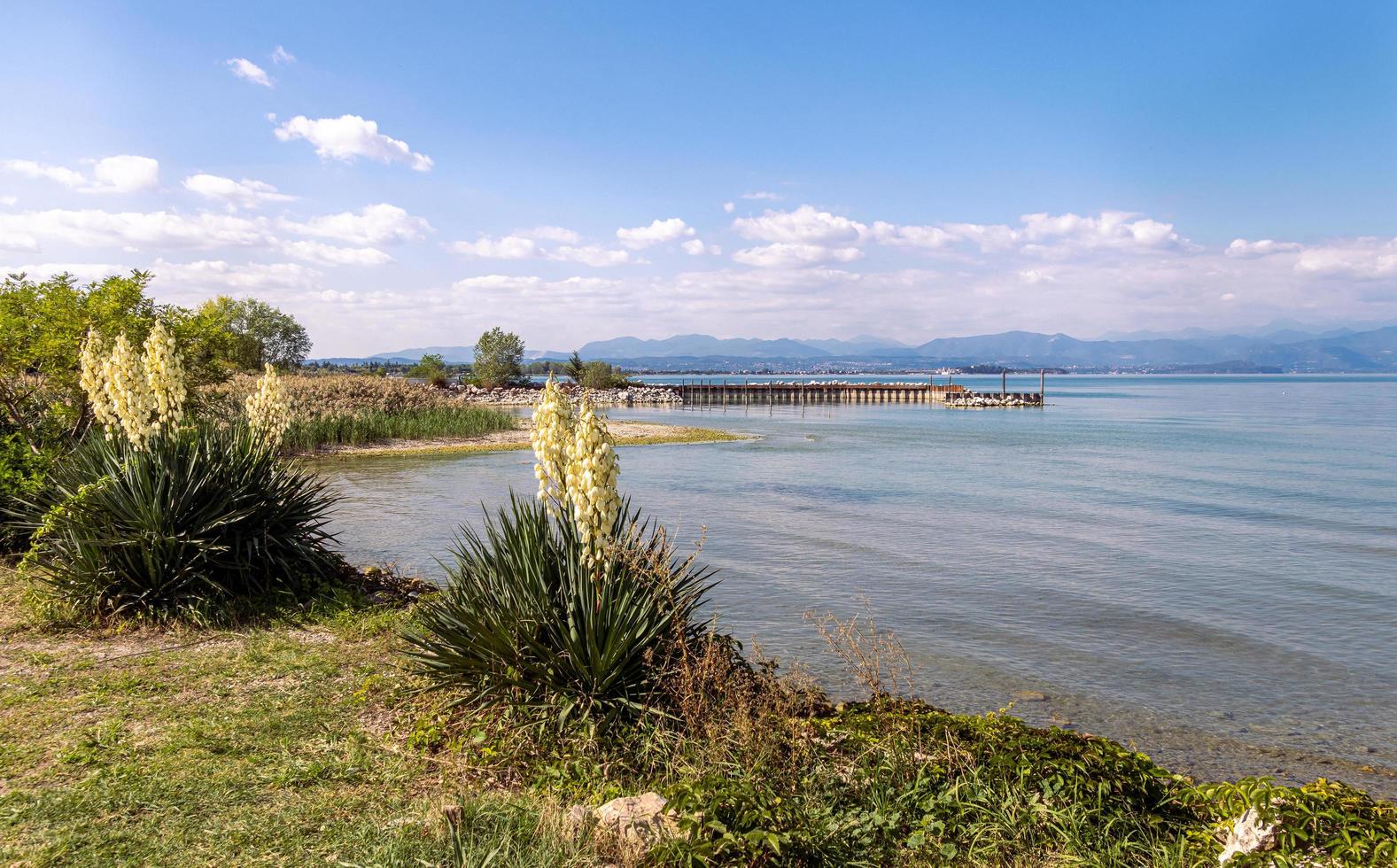 aan het meer visie van peschiera, lago di Garda meer garda, Italië foto