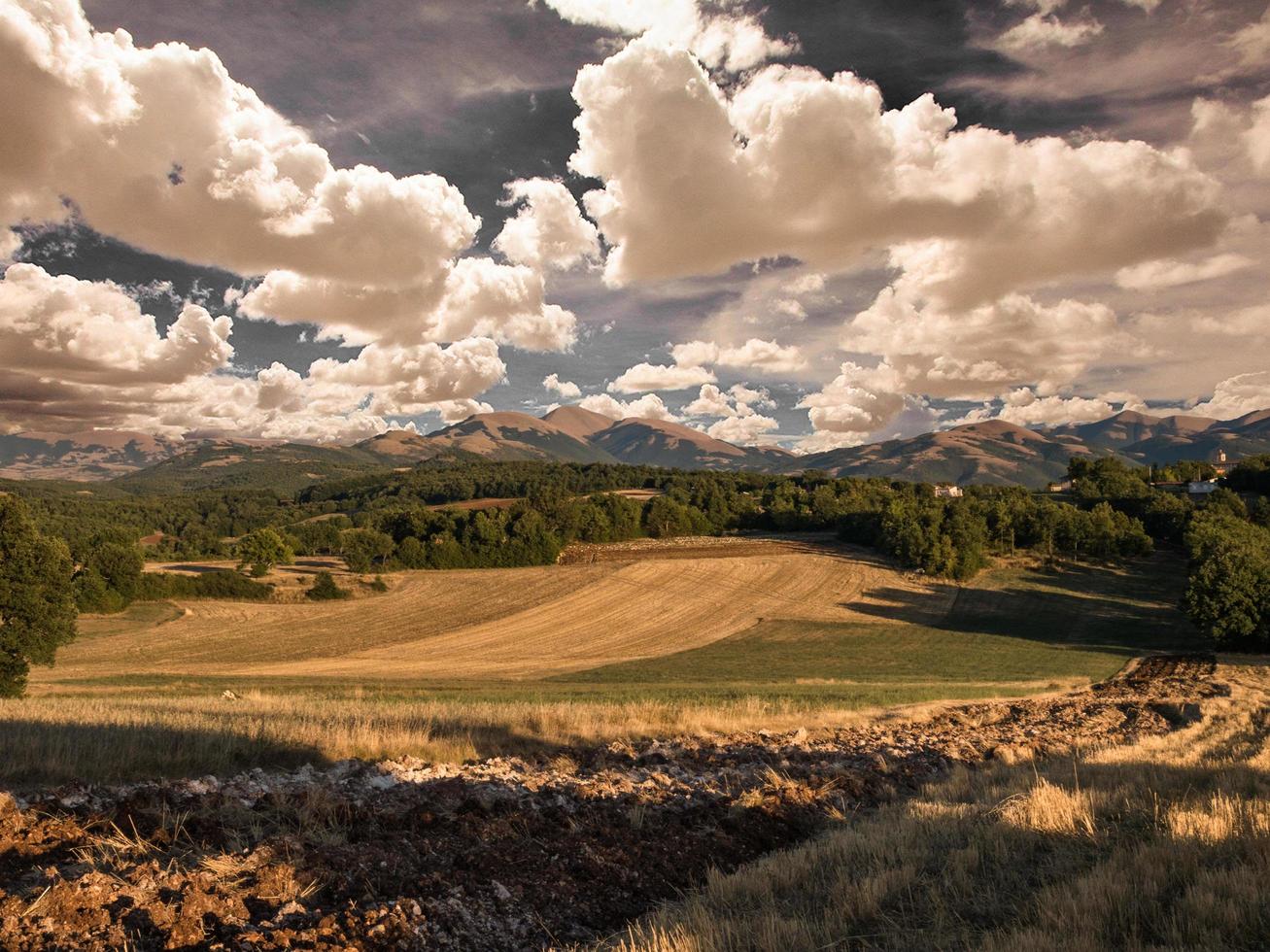 zomer in Italië foto