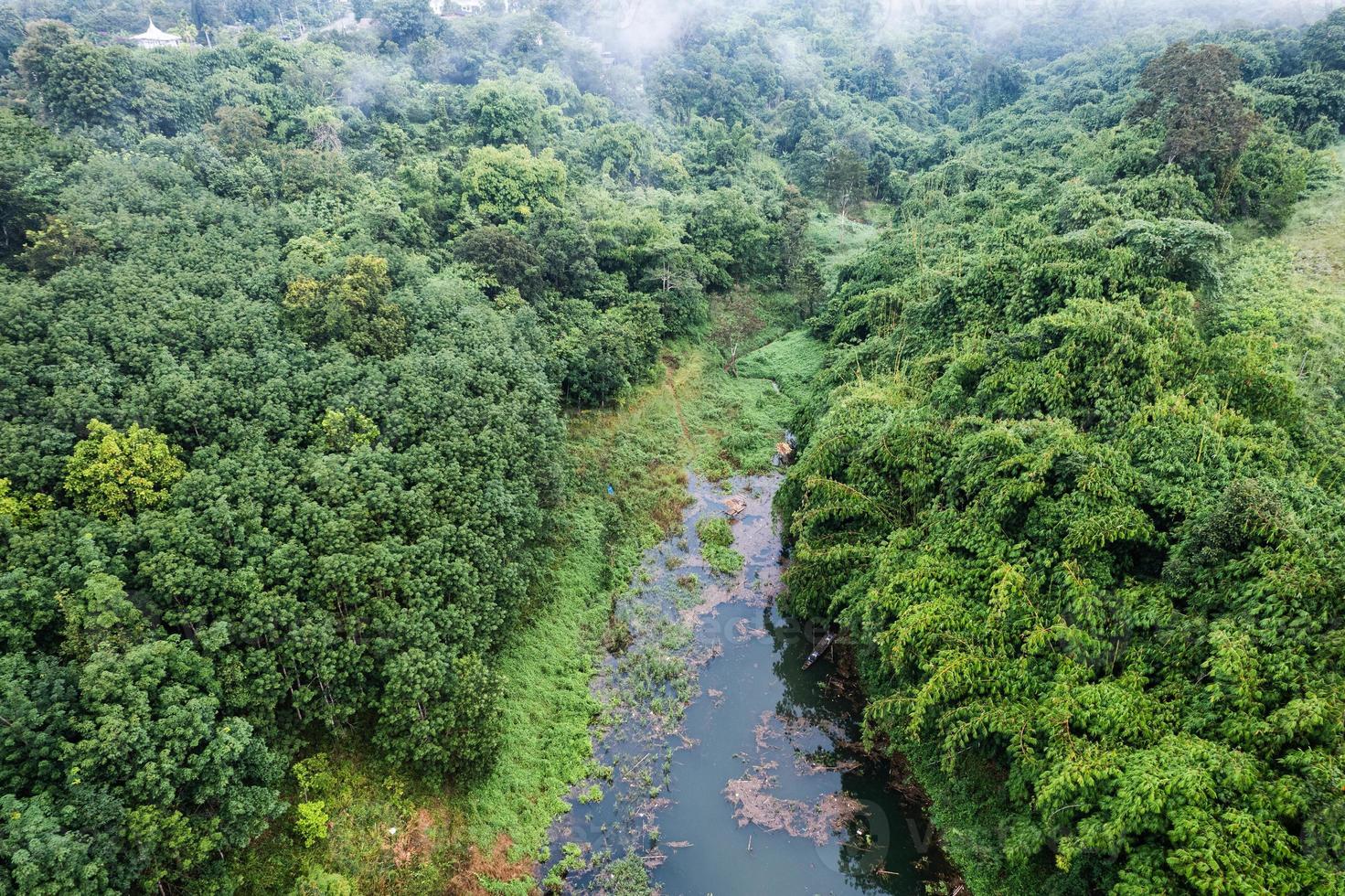 overvloed tropisch regenwoud met mistig en rivier- vloeiende door in de ochtend- Bij nationaal park foto