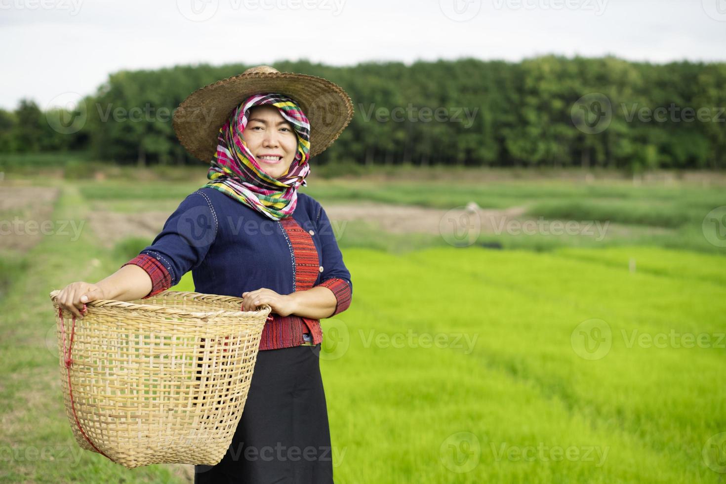 Aziatisch vrouw boer is Bij rijstveld veld, slijtage hoed, gedekt hoofd met Thais lendendoek, houdt bamboe mand. concept , boer werk biologisch landbouw. traditioneel bezetting in landelijk van Thailand. foto