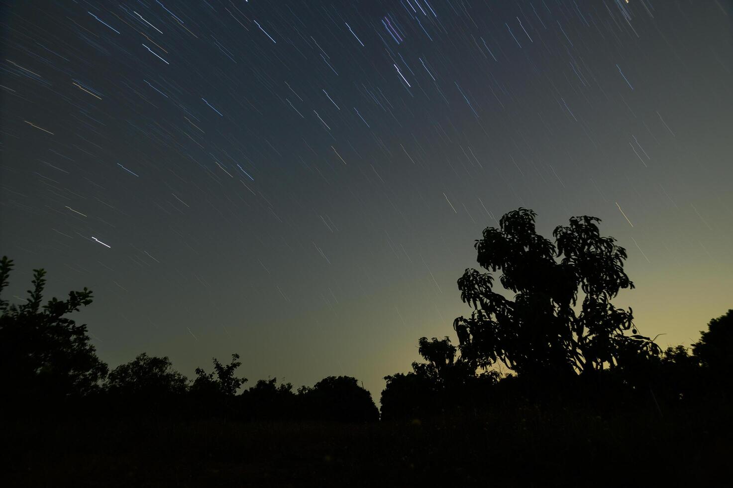 de lucht en sterrensporen 's nachts foto