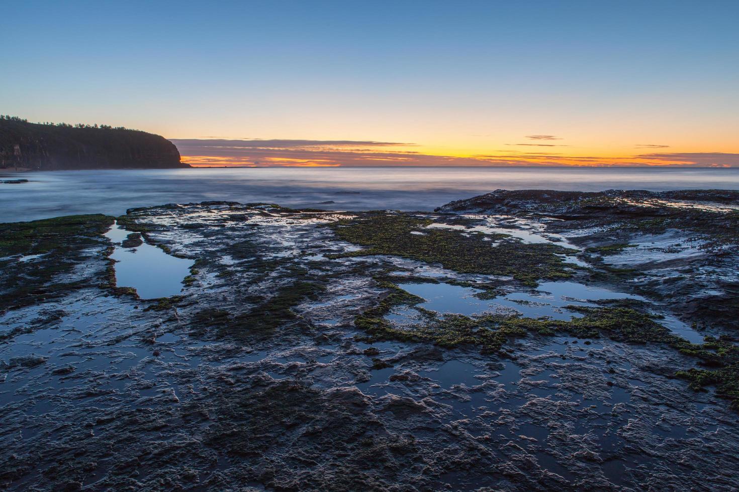 mos op de kust bij zonsondergang foto