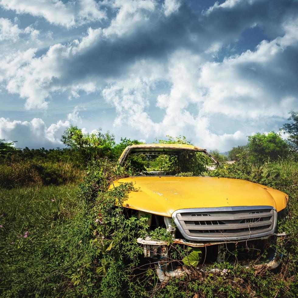 oud auto binnen de struikgewas van gras foto