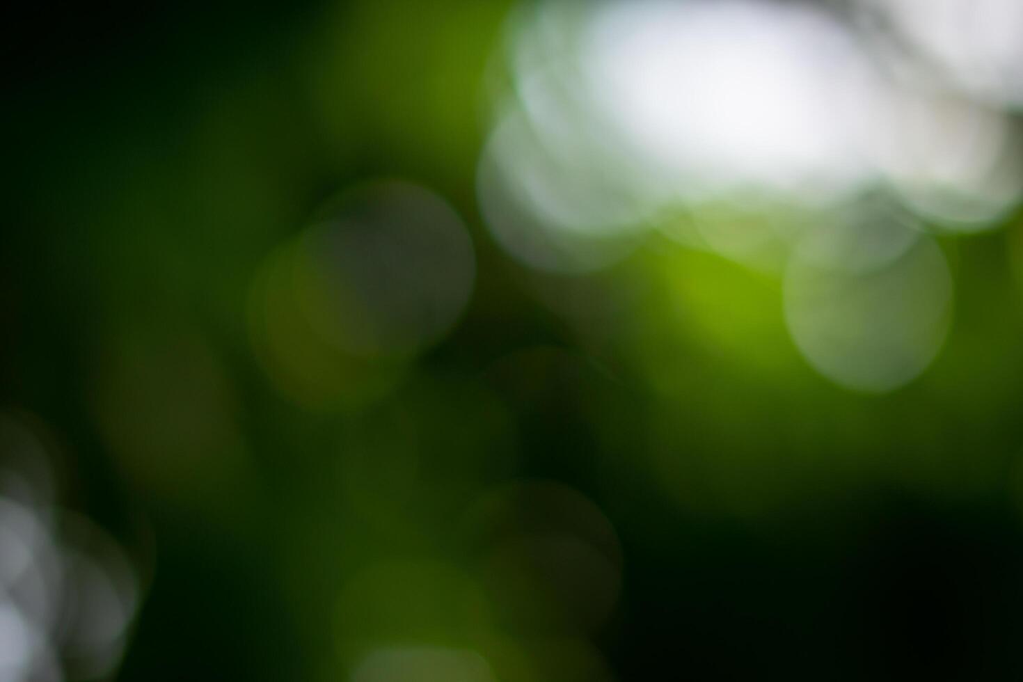 natuurlijke bokeh achtergrond foto