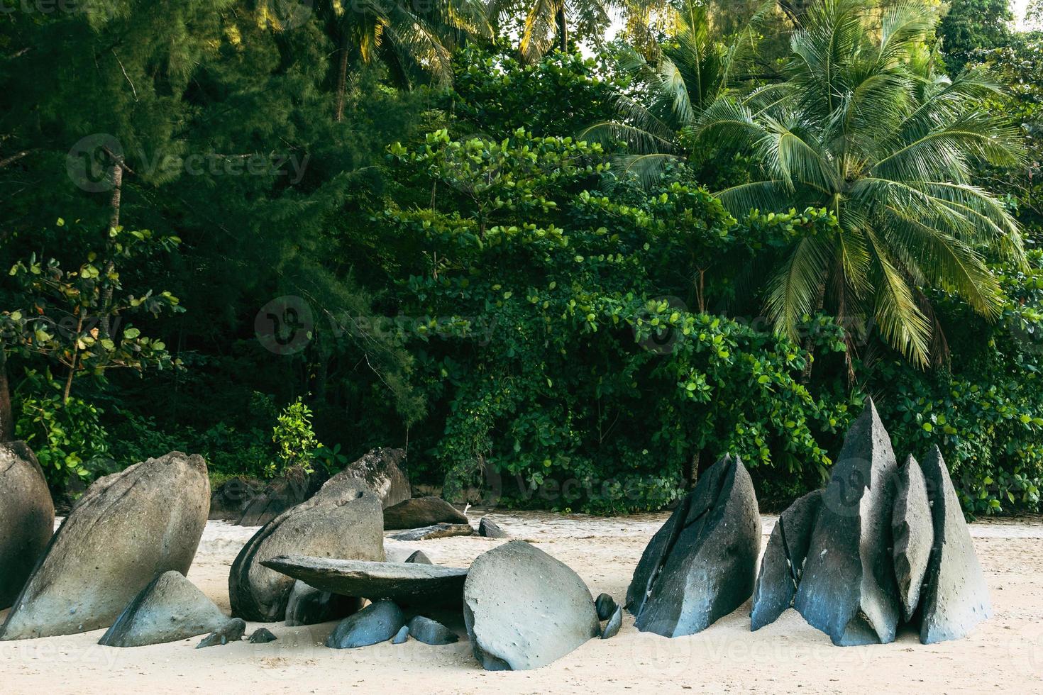 scherp rotsen Aan strand met tropisch Woud achtergrond. foto