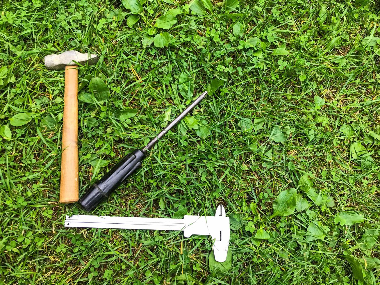 Daar is een hamer en een schroevedraaier Aan de gras, niveau. de reparatie gereedschap zijn verspreiding uit Aan de gazon in de het formulier van een groeit schema. hamer Aan houten handvat, schroevedraaier met zwart omgaan met foto