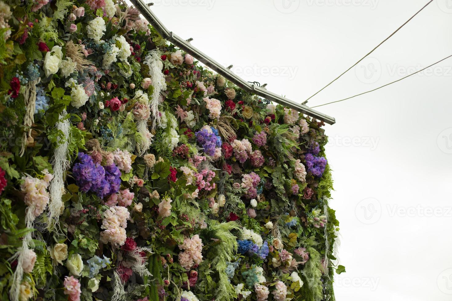 roos muur. structuur van kleuren. decoratie in park. droog bloemblaadjes. foto