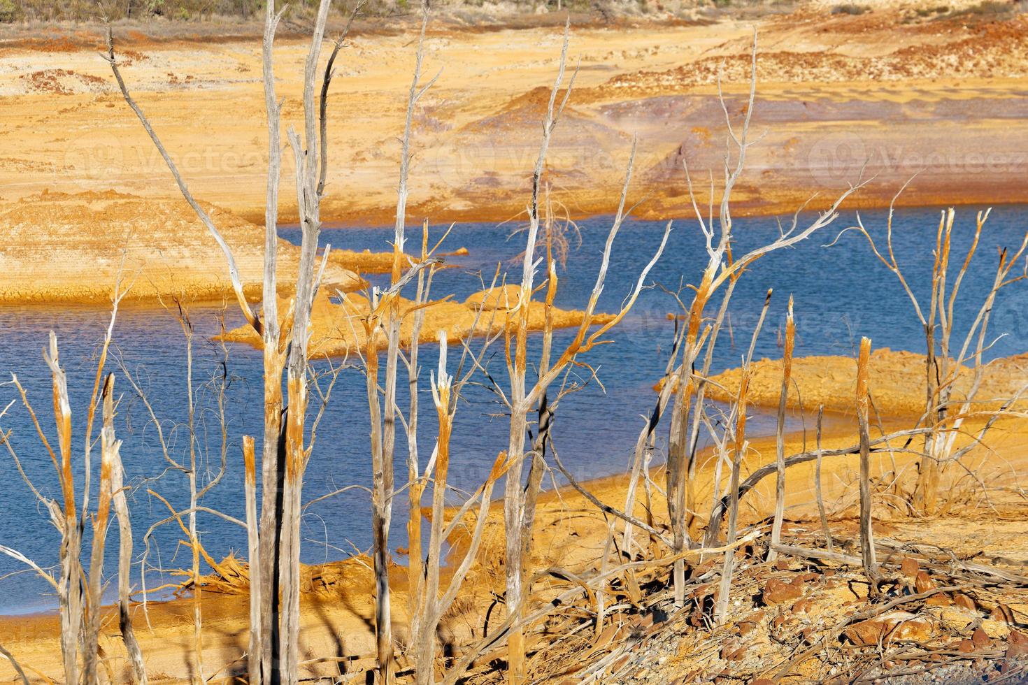 laag niveaus van water reservoir. droog klimaat. tekort van water. dood bomen. klimaat verandering en globaal opwarming. Daar is Nee planeet b. dringend actie naar opslaan de wereld. omgeving. foto