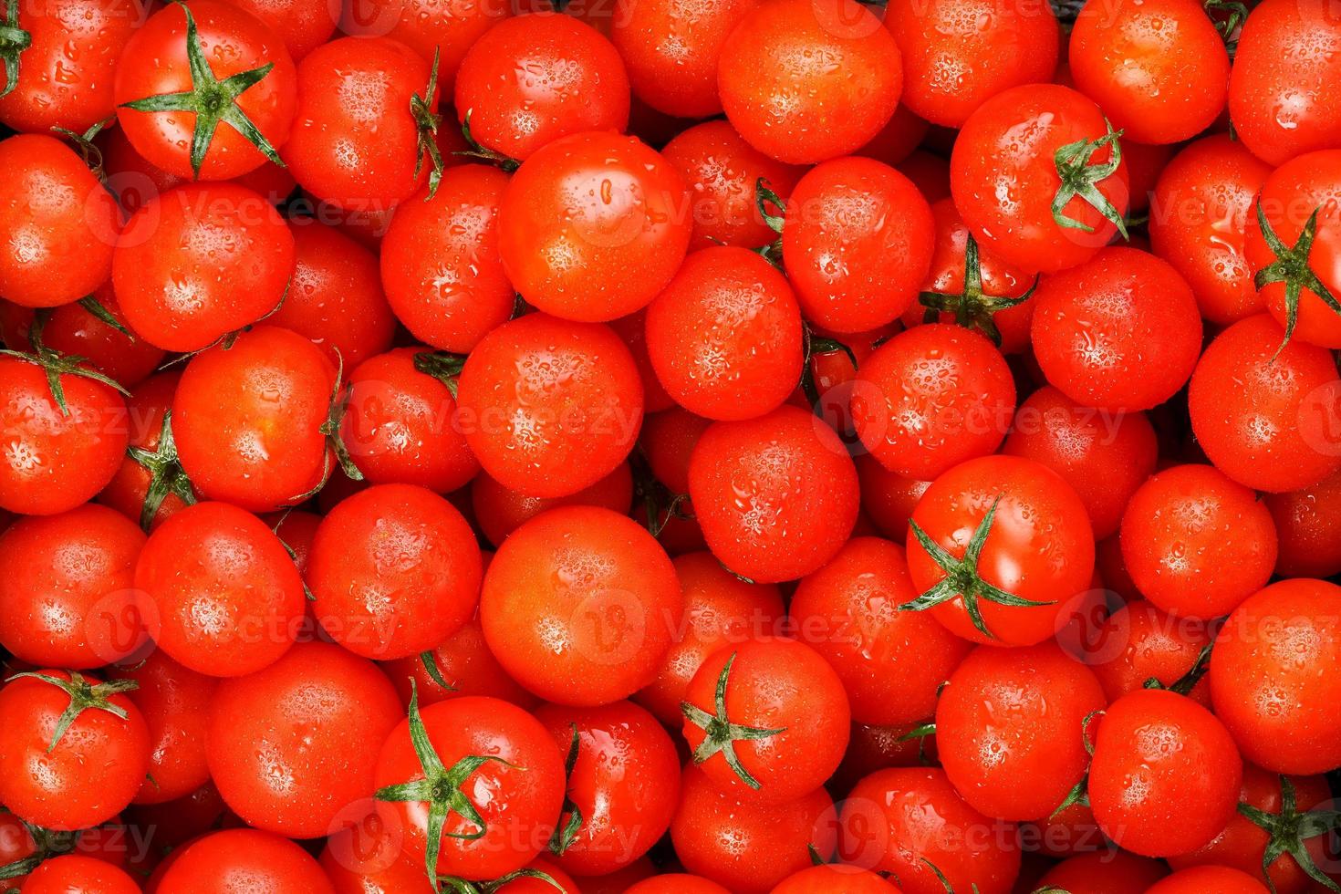 veel van vers rijp tomaten met druppels van dauw. detailopname achtergrond met structuur van rood harten met groen staarten. vers kers tomaten met groen bladeren. achtergrond rood tomaten foto