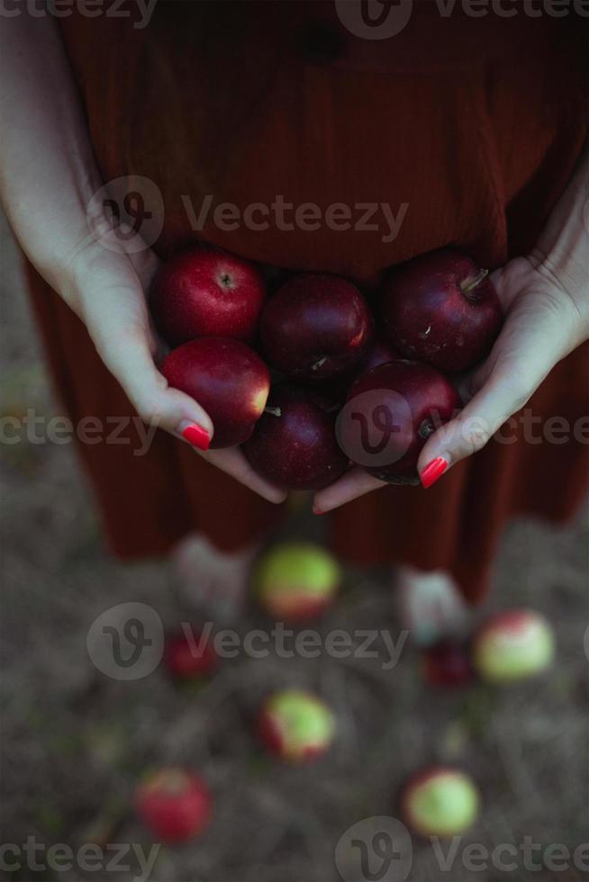 dichtbij omhoog dame Holding rood appels concept foto