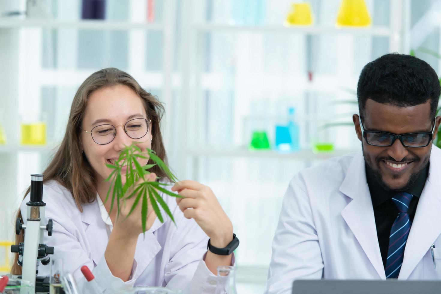in de Universiteit wetenschap laboratorium, onderzoekers zijn analyseren studies Aan hennep planten foto
