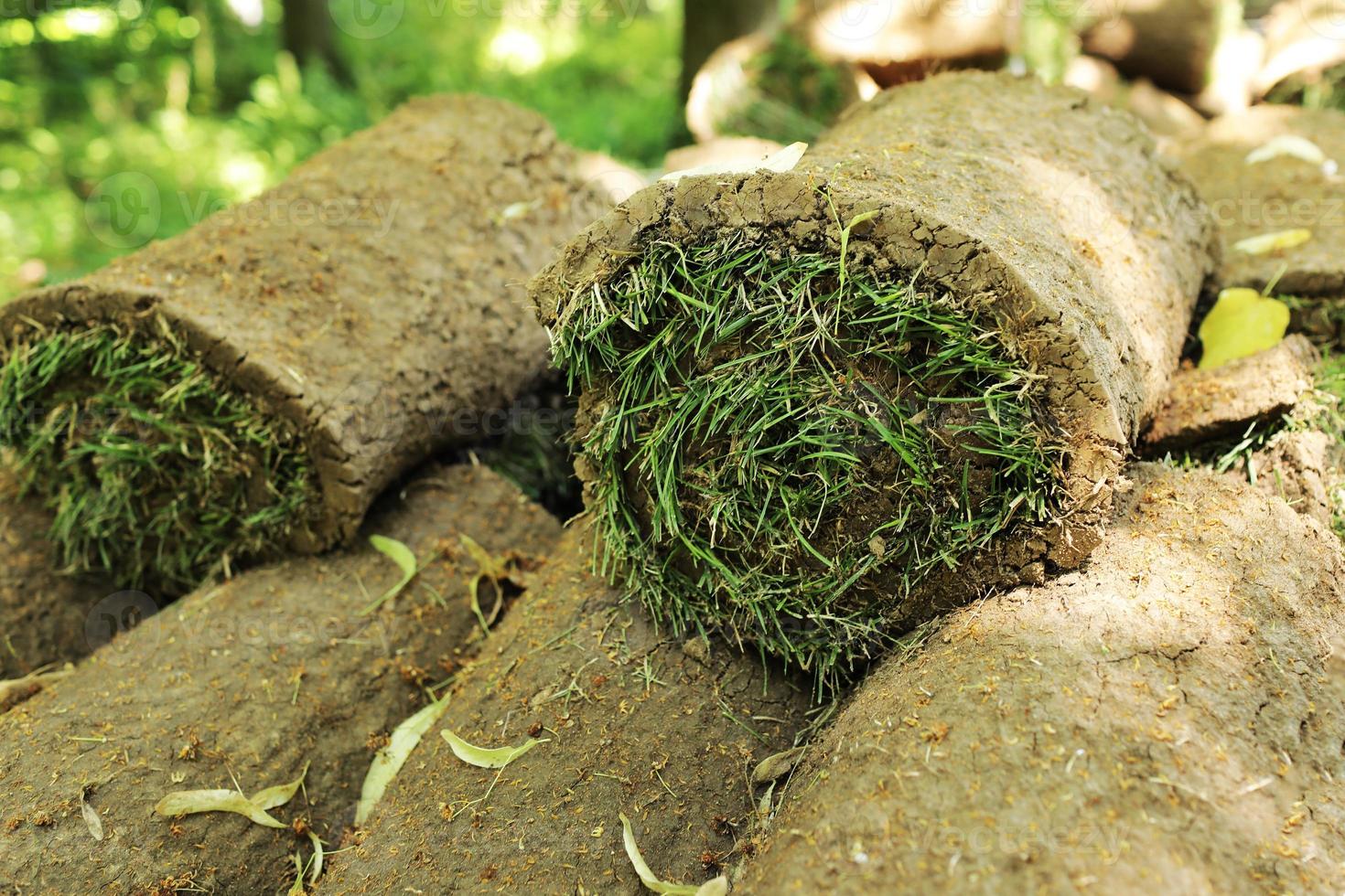 close-up van tapijt gras tapijten buitenshuis met groen en bruin patroon. gazon van groen gras en grond wordt op rollen gerold, de grasmat in een stapel is klaar om te vergroenen. foto