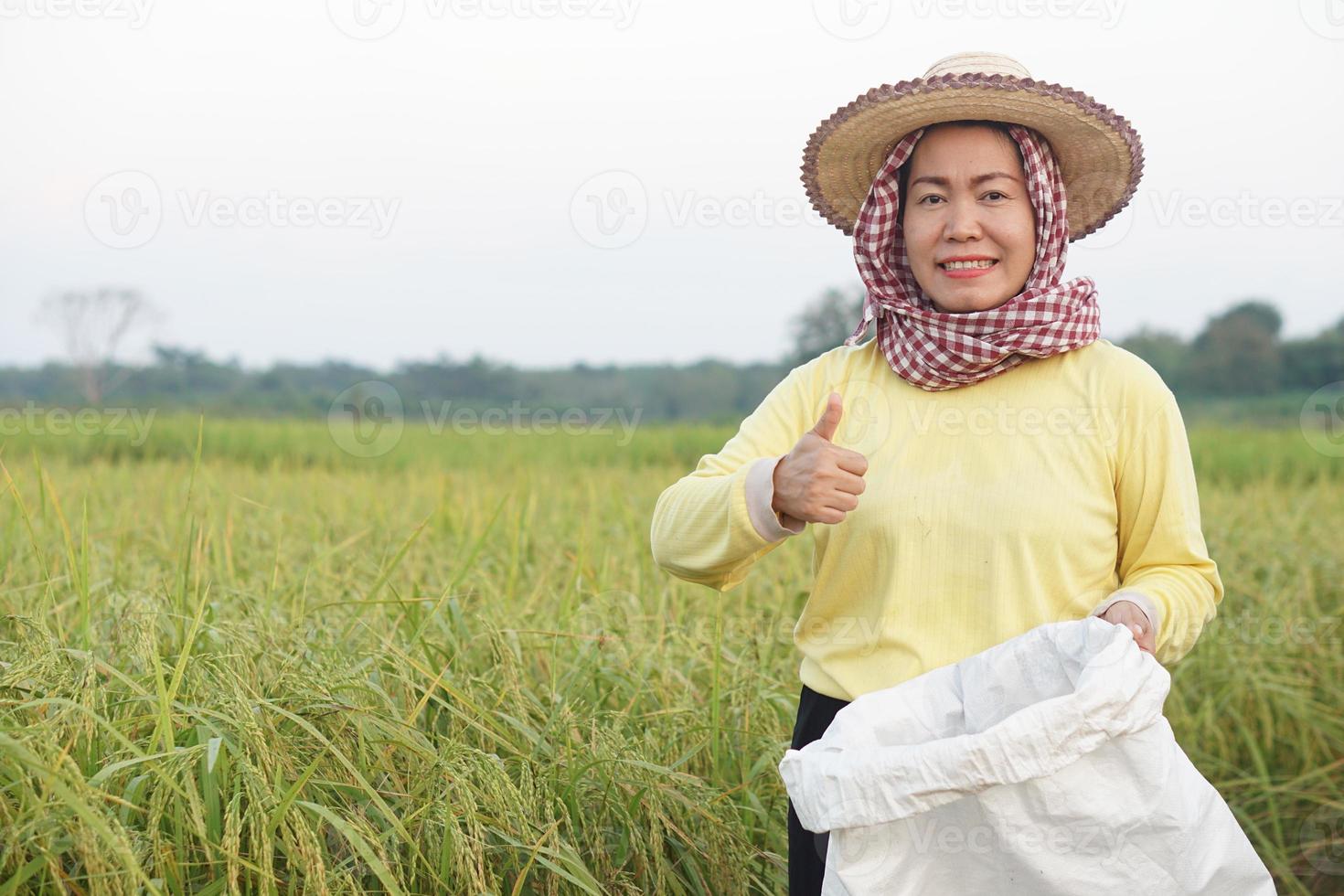 gelukkig Aziatisch vrouw boer is Bij rijstveld veld, draagt hoed, geel overhemd, thais lendendoek covers hoofd, houdt wit zak van biologisch kunstmest, zelfverzekerd. concept, boer tevreden in Product voor landbouw foto