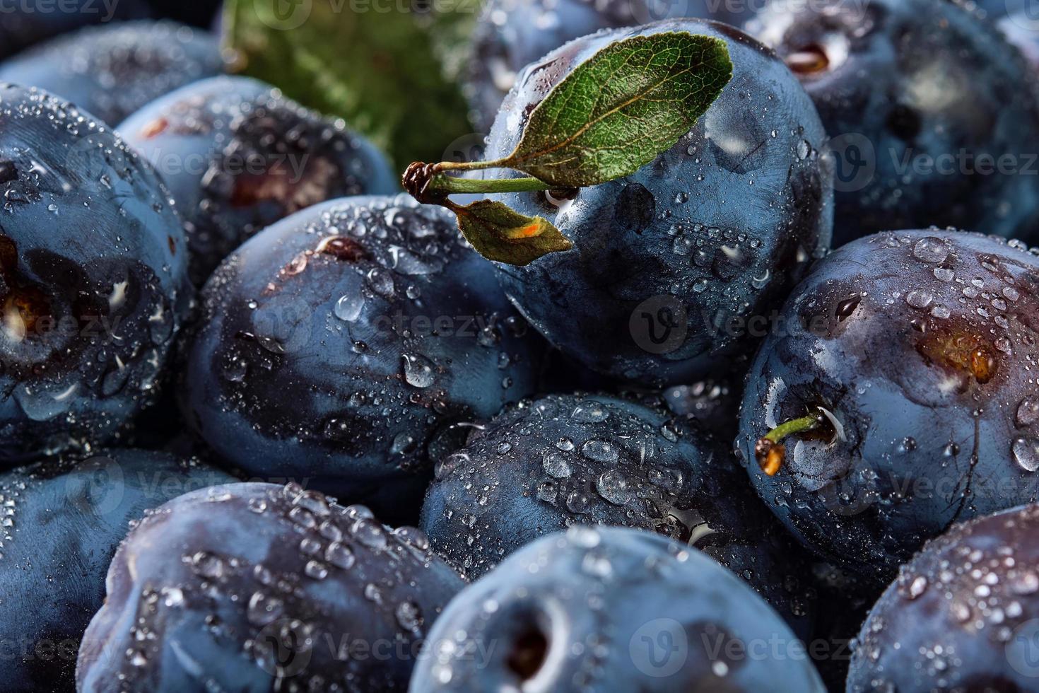 heerlijk rijp pruimen, achtergrond van vers biologisch fruit in water druppels, detailopname. selectief focus, Ondiep diepte van veld.mooi rijp pruimen, fruit oogsten in herfst, ecologische producten van de boerderij foto