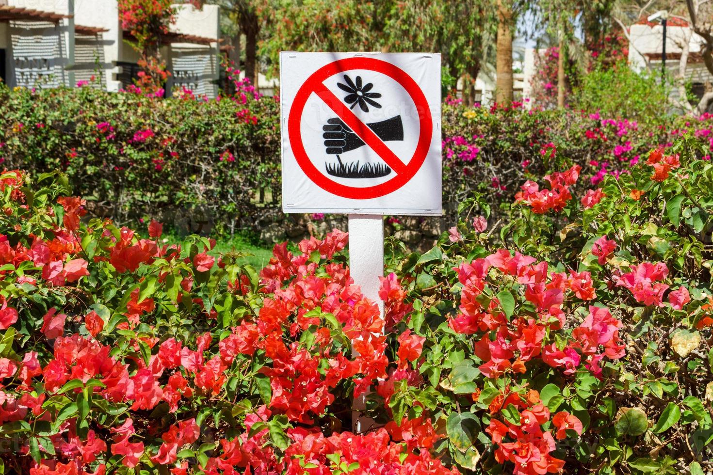 tekens in de park. doet niet plukken bloemen foto