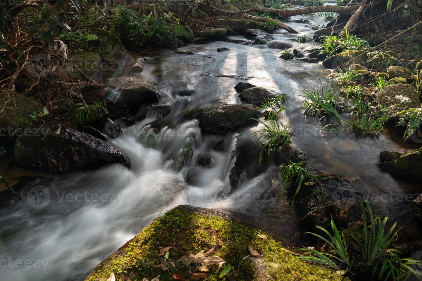 klein waterval in regen Woud rots en rivier- ecologie en mooi natuur, milieu en reizen concept landschap foto