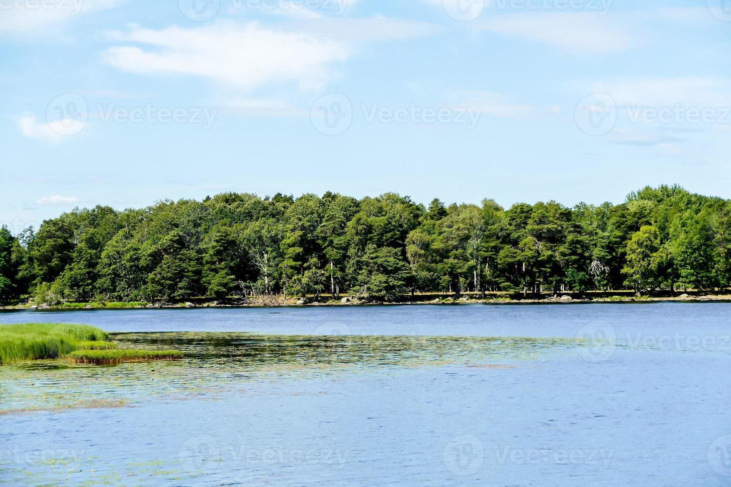 landschap in Zweden, Europa foto