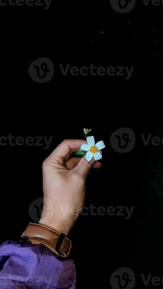links hand- Holding wit bloem Aan donker zwart achtergrond 03 foto