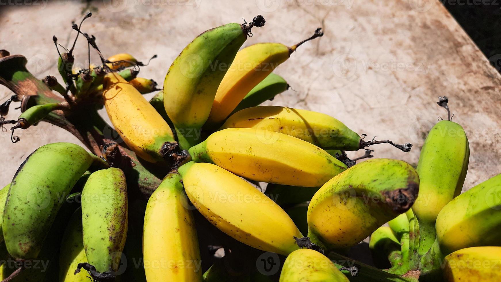 dichtbij omhoog, rijp bananen Aan een cement muur achtergrond 03 foto