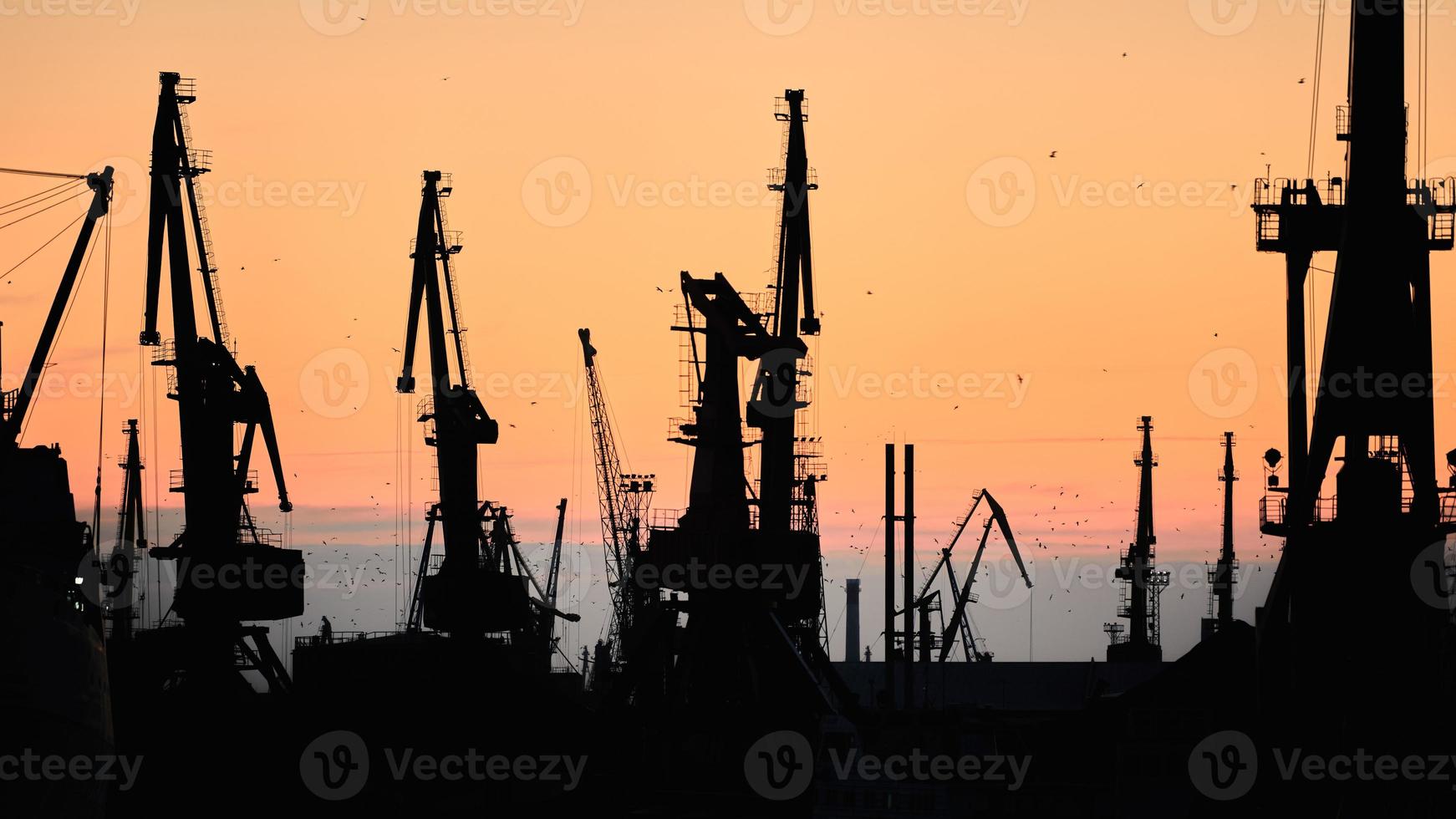 silhouetten van schepen en houder kranen in zee haven foto