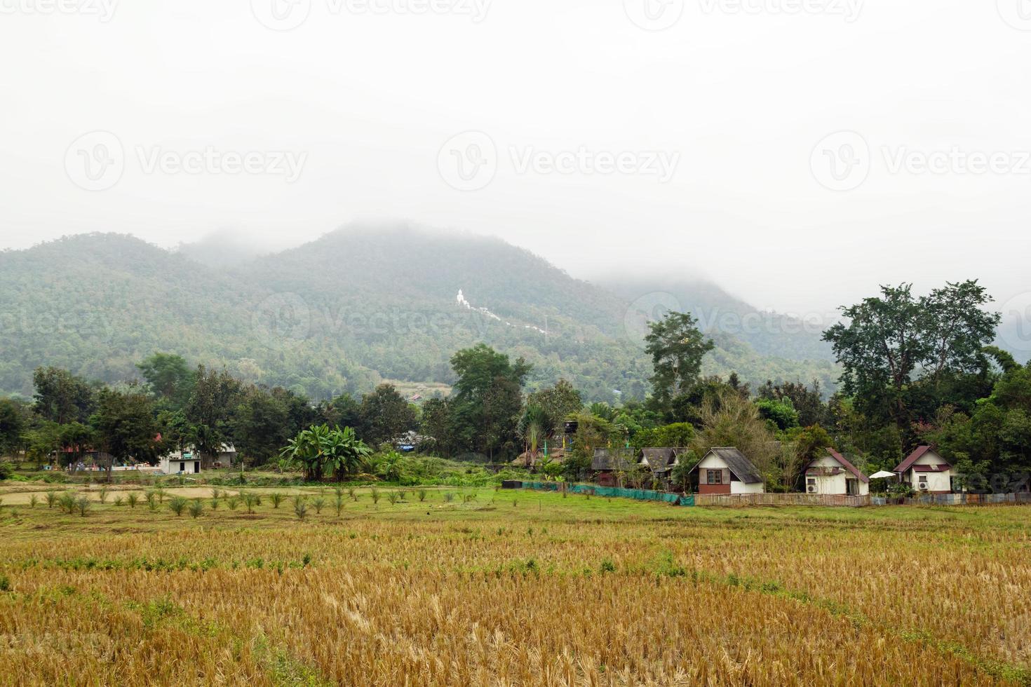 boerderij landschap met droog rijst- velden en bergen Aan een achtergrond in bewolkt het weer. pai, mae hong spoedig provincie, Thailand. foto