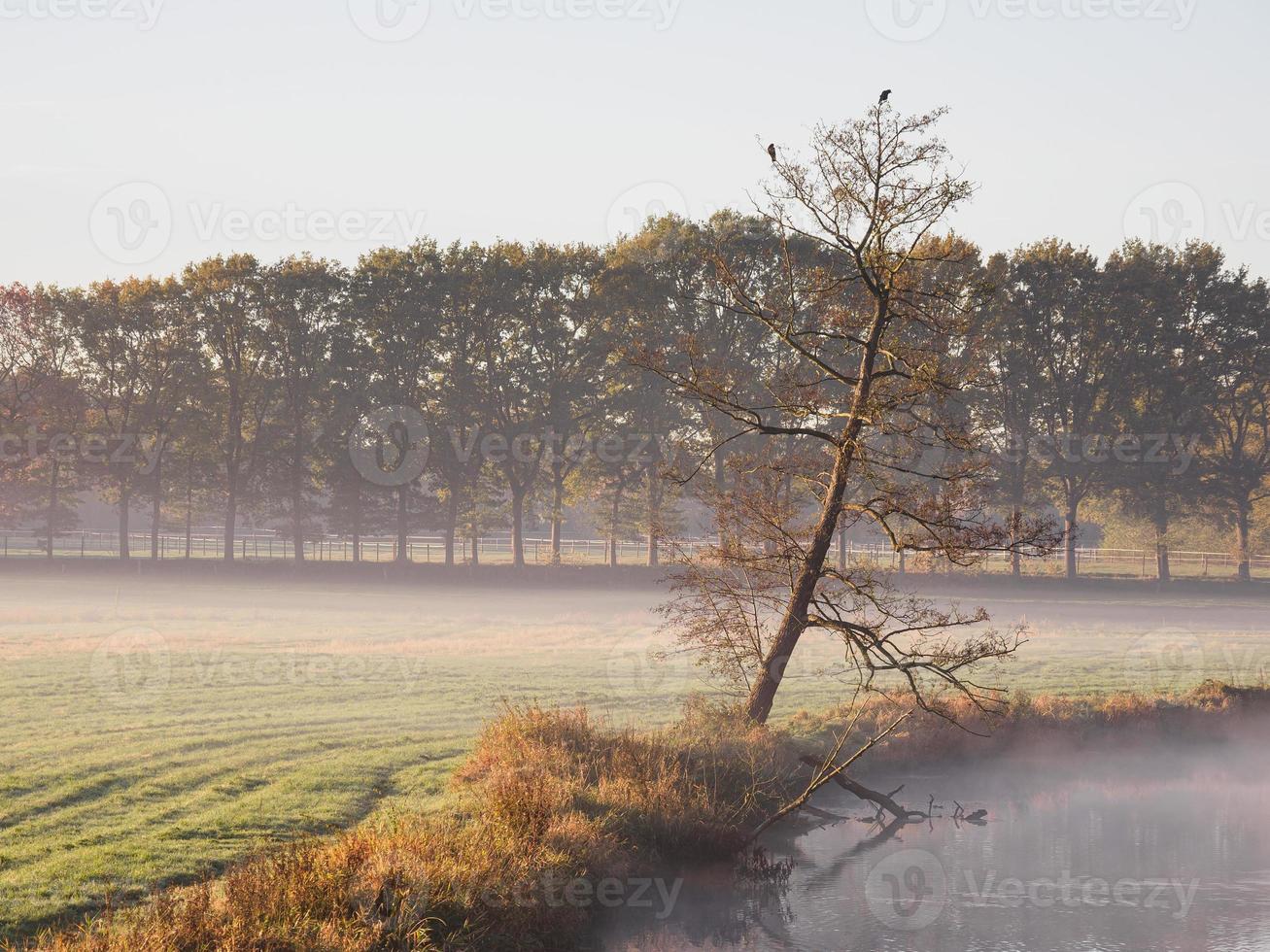 herfst tijd Bij een rivier- in Duitsland foto