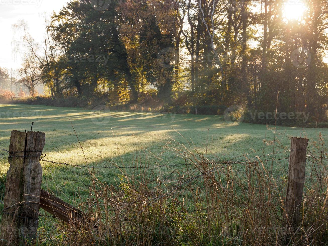 herfst tijd Bij een rivier- in Duitsland foto