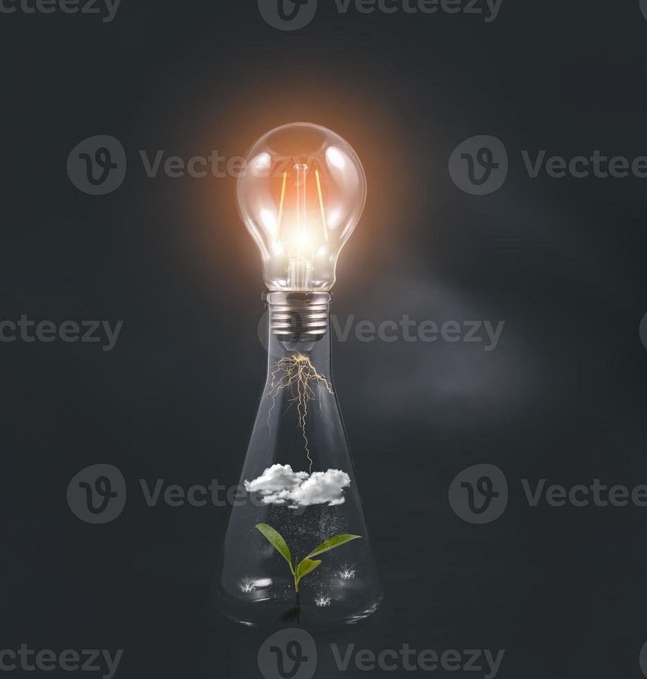 concept macht energie en natuur, gloeiend licht lamp met fabriek net zo de gloeidraad, licht lamp in een glas pot met een groeit plant, aarde besparing en hernieuwbaar energie, alternatief energie idee concept, foto