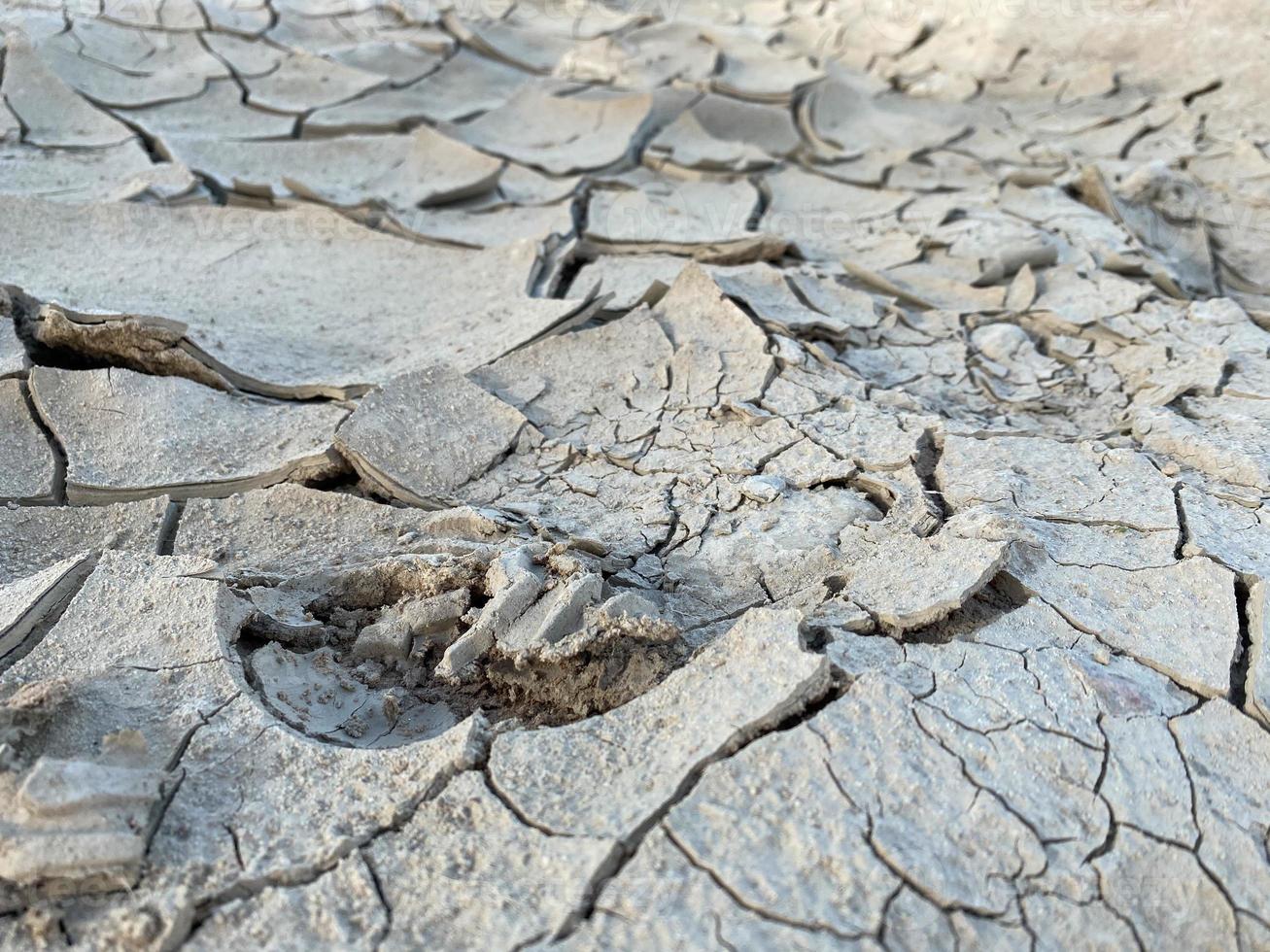 structuur en grijs kleur van droog gebarsten bodem. gebarsten droog bodem in een oud zout vijver. grijs droog grond. achtergrond diep scheuren in de grond. droog toneel- modder. zout moeras kraken grond. dor land- foto