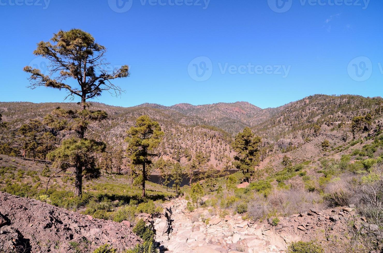 rotsachtig landschap Aan de kanarie eilanden foto