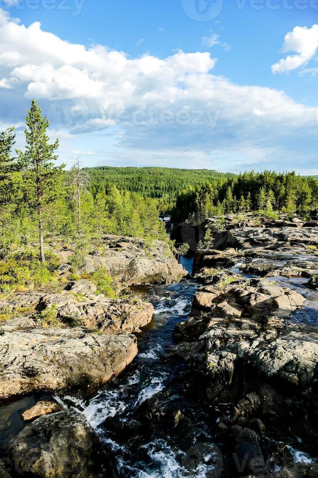 landschap in Zweden, Europa foto