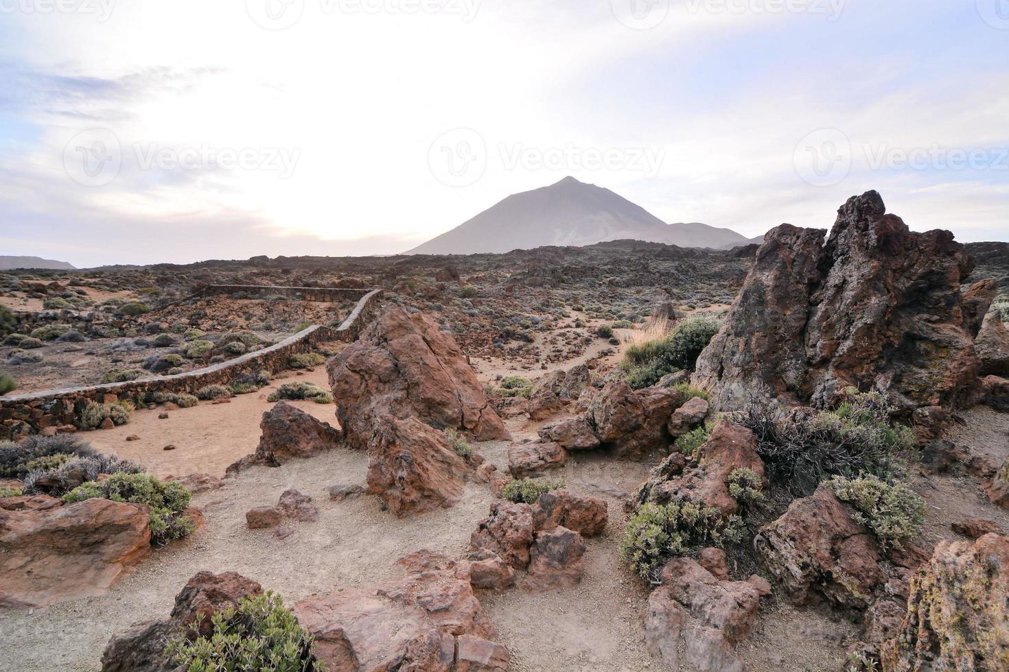 uitzicht op woestijnlandschap foto