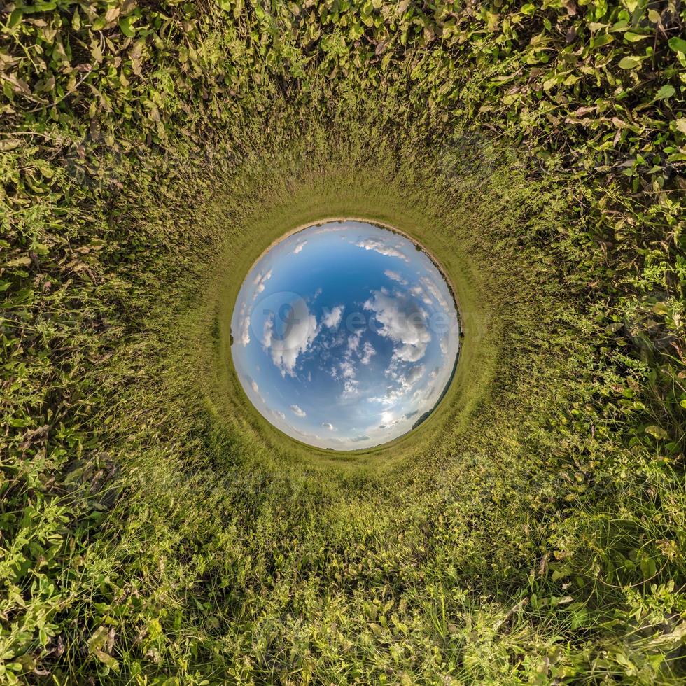 blauwe bol kleine planeet binnen groen gras ronde frame achtergrond. foto