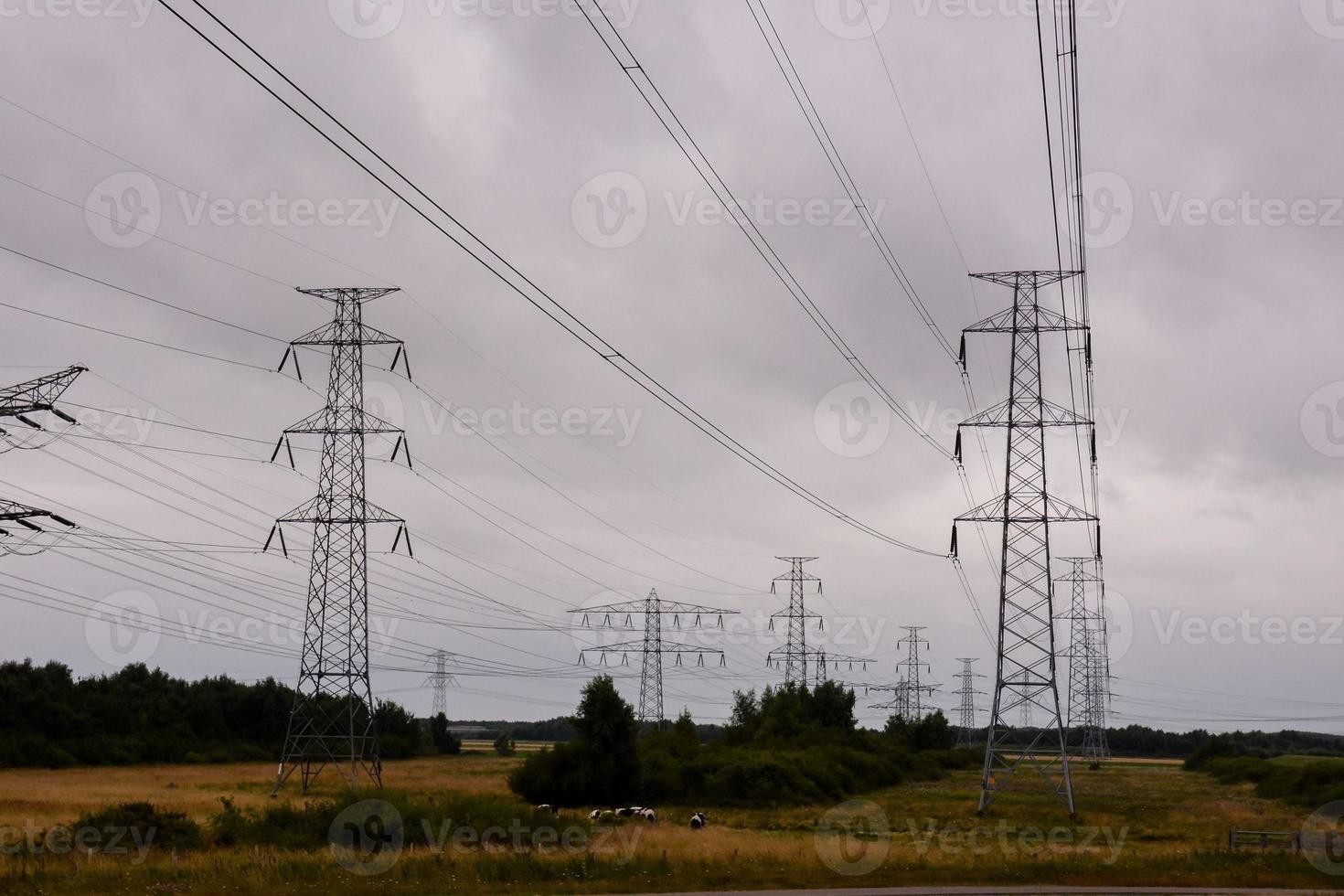 stroomkabels in veld- foto