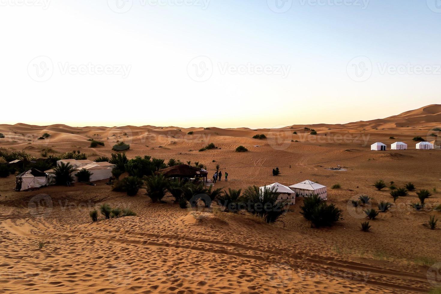 uitzicht op woestijnlandschap foto