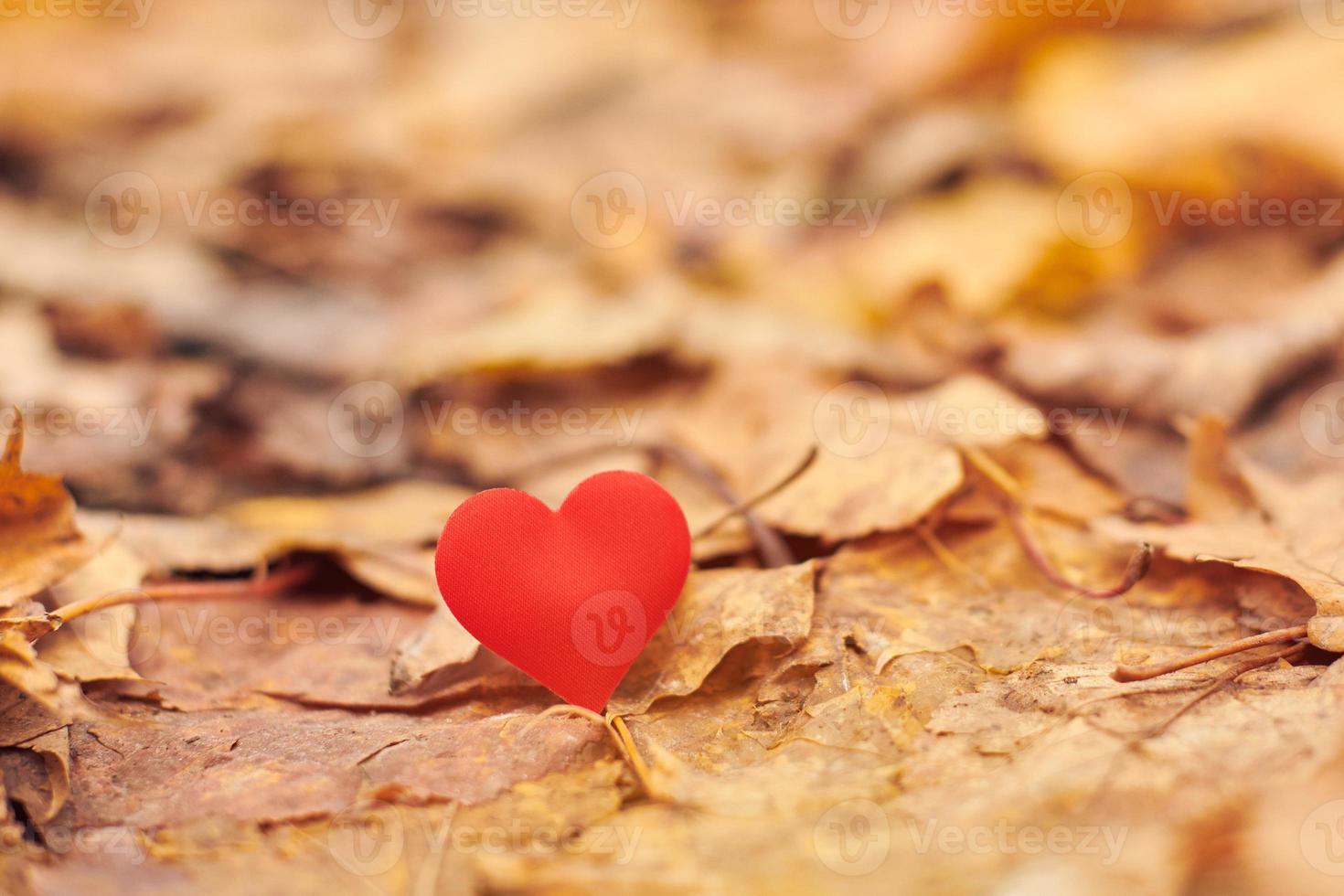 verliefdheid, eenzijdig romantisch liefdesconcept foto