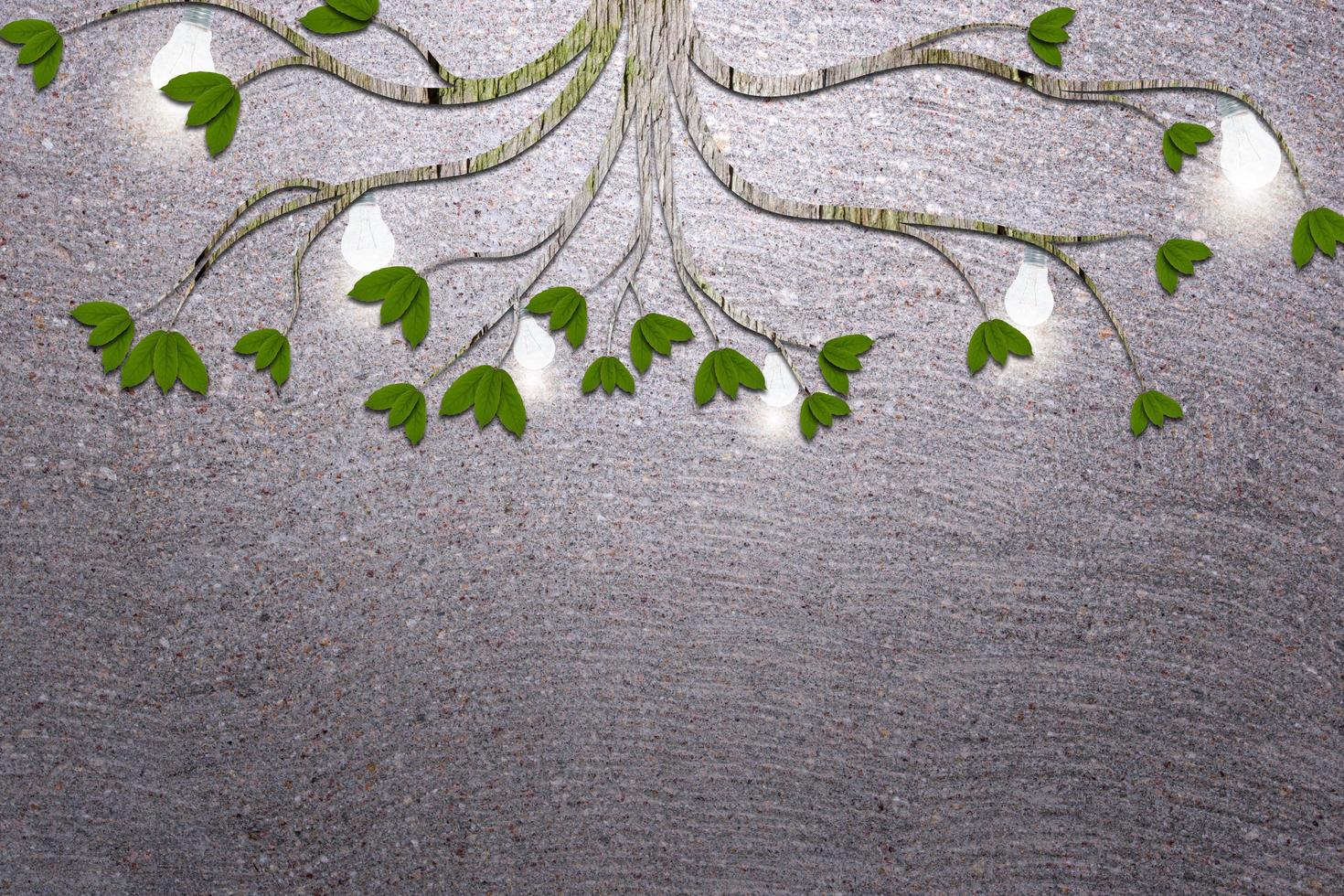 groene planten op cement achtergrond foto