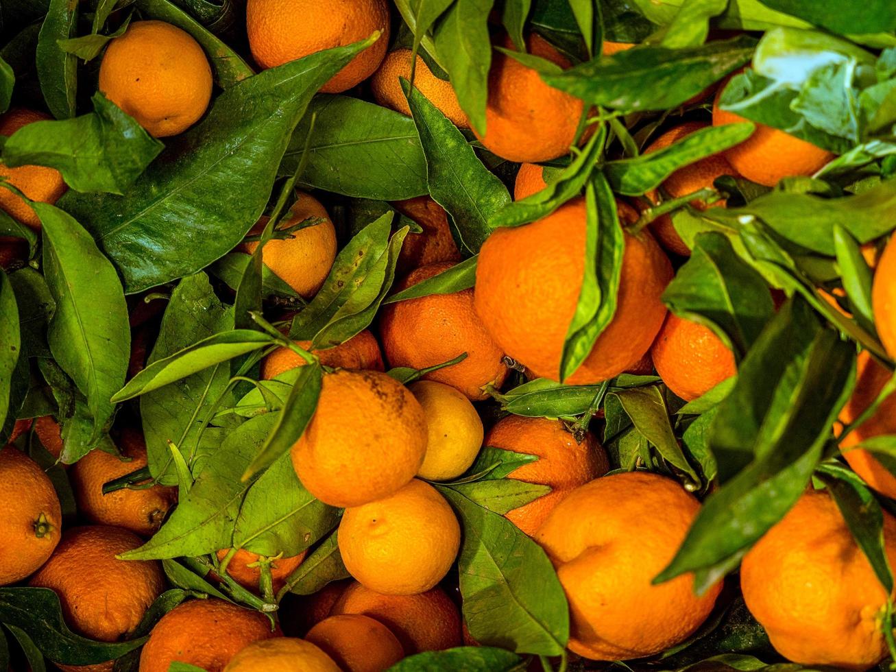 sinaasappelen met bladeren foto