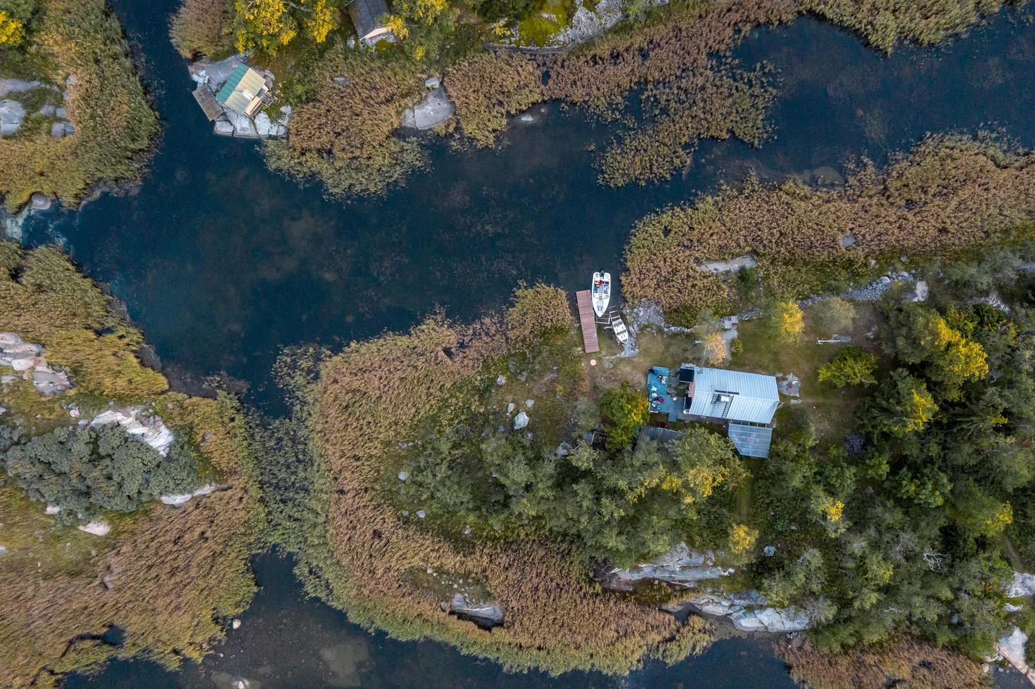 groene bomen en huizen aan het water foto