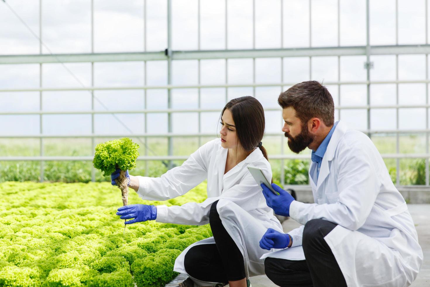 vrouw en man in laboratoriumjassen foto