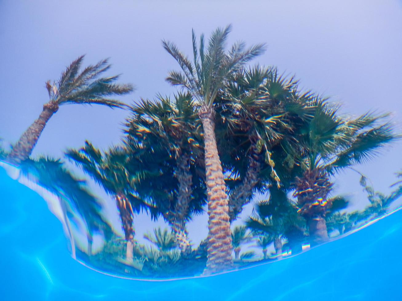 visie door de water naar palm bomen Aan vakantie foto