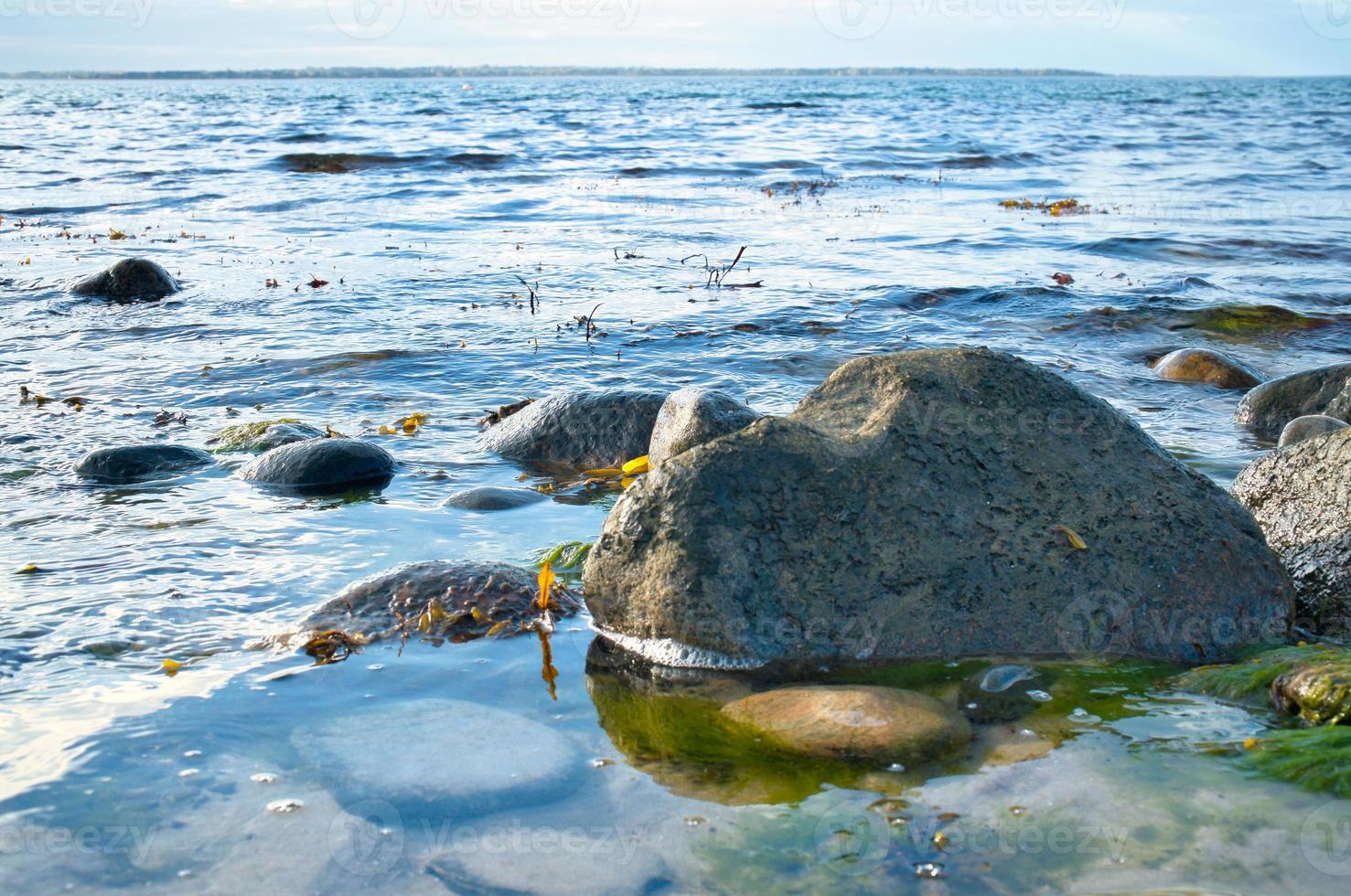 groot steen in de water Aan de strand in de zee. Deens kust Aan een zonnig dag foto