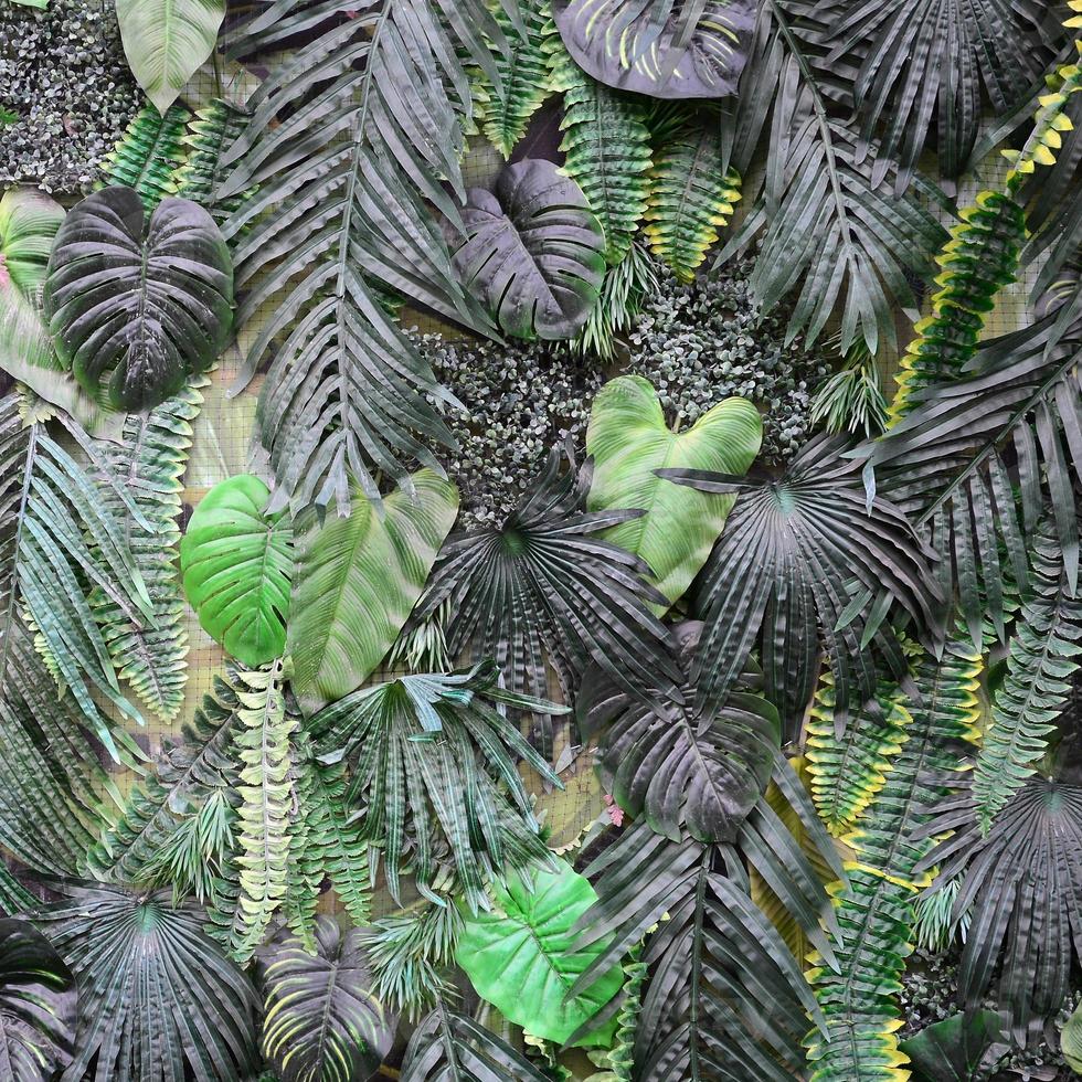 tropisch groen bladeren achtergrond, varen, palm en monstera deliciosa blad Aan muur foto