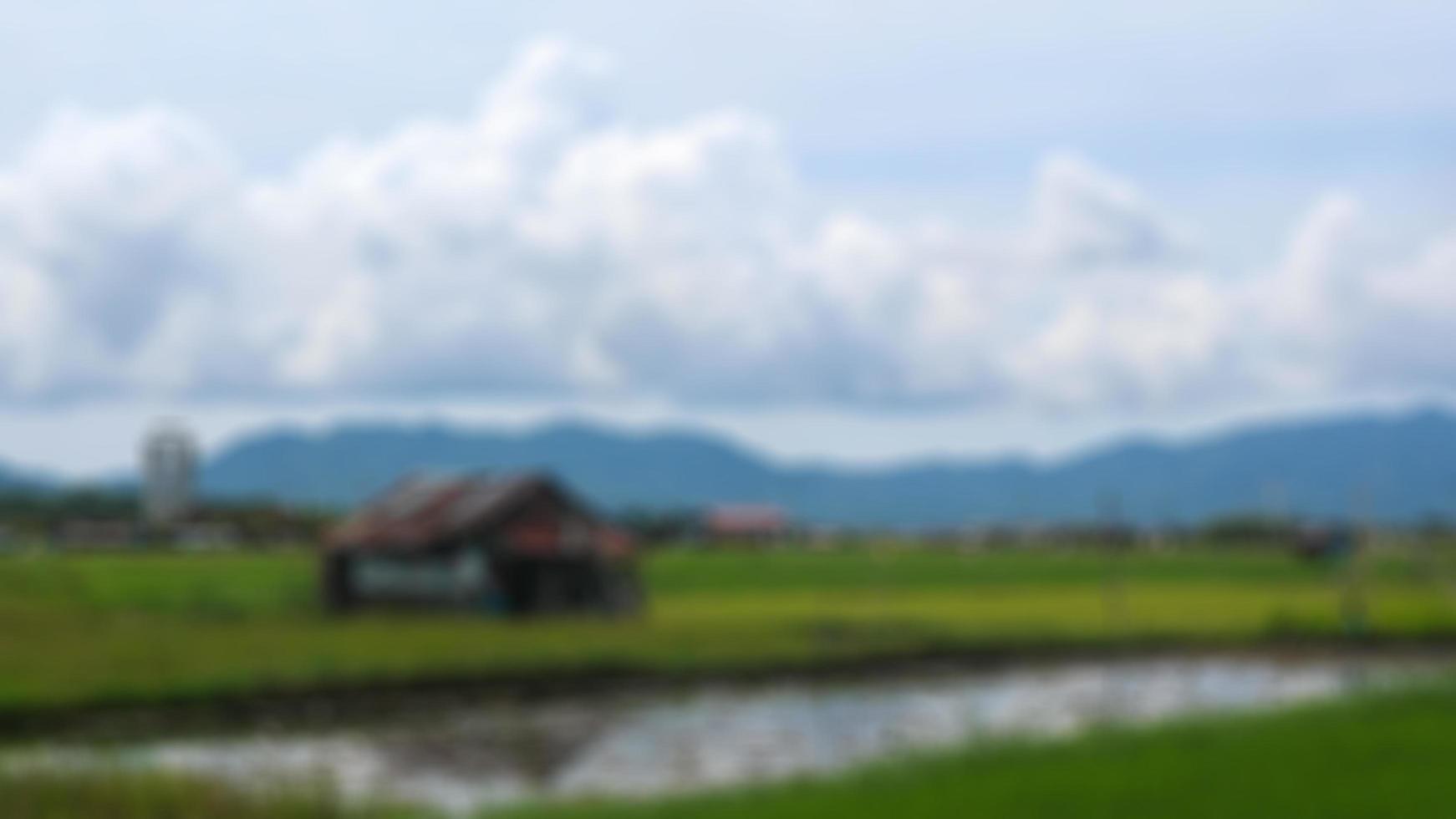 cabine in de midden- van de rijst- velden omringd door heuvels foto