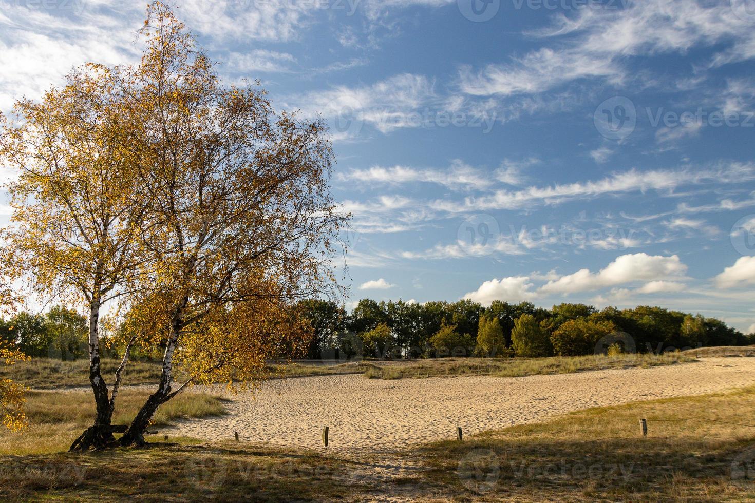boberger duinen in mooi hoor weer in herfst foto