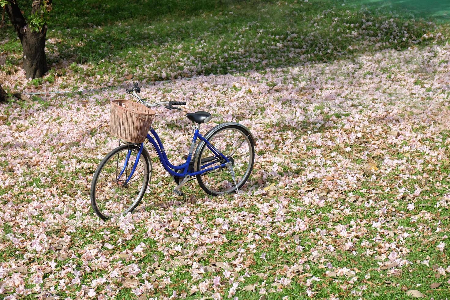 wijnoogst fiets Aan groen gazon met herfst bladeren foto