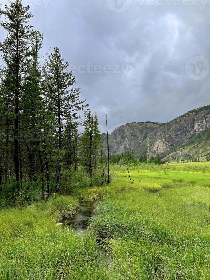 mooi landschap in de altai bergen, Rusland foto