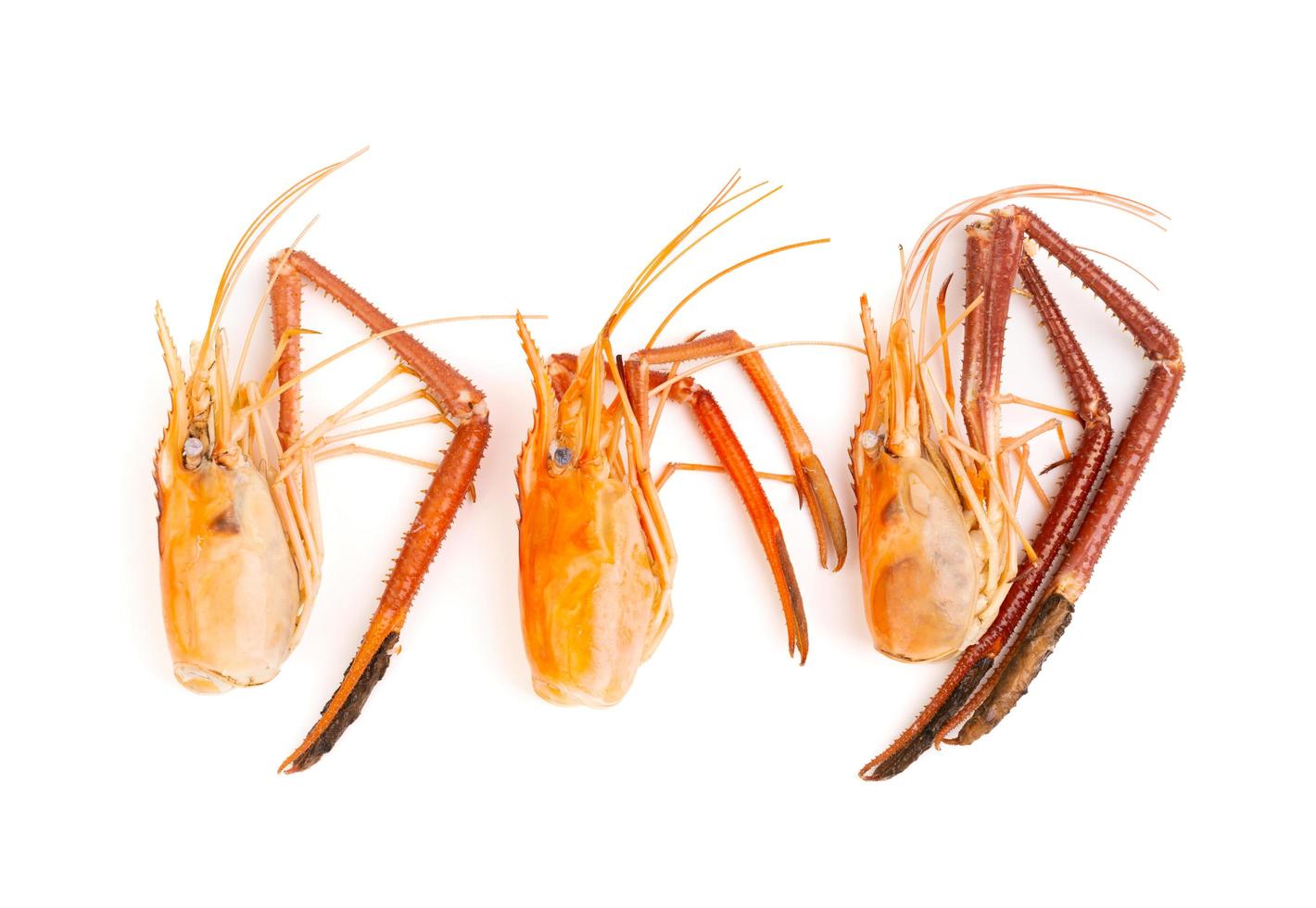 drie garnaal hoofden en garnaal schelpen, voedsel restjes, restjes, afval, natuurlijk zeevruchten. lunch. avondeten geïsoleerd Aan wit achtergrond foto